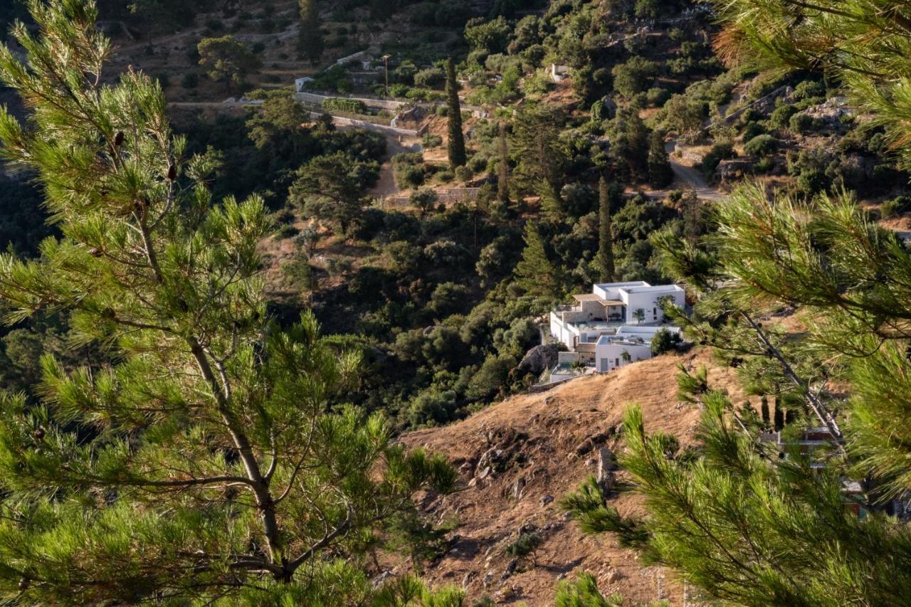 Two Goats Villas Кира Панагя Экстерьер фото